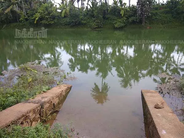 Pond for the generation of women for generations: Pool News